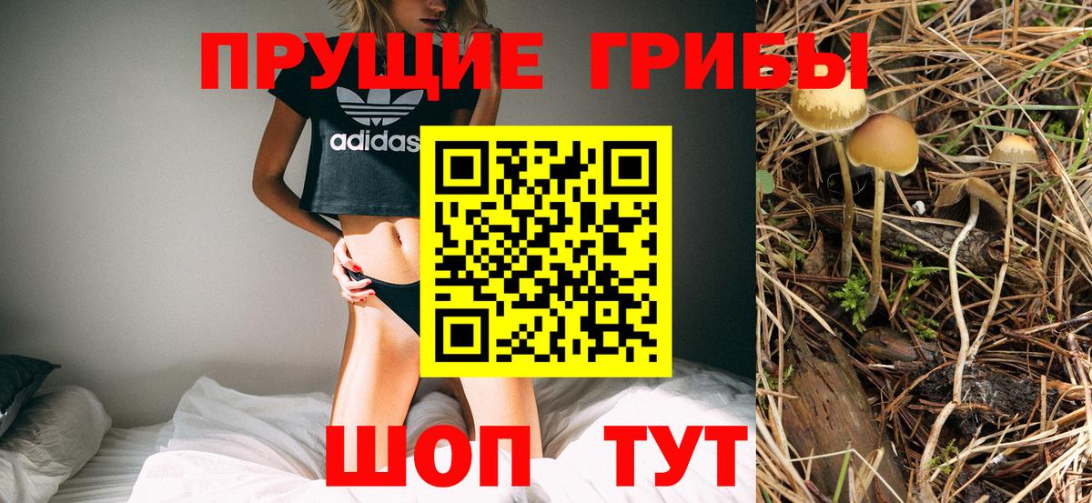 Псилоцибиновые грибы Cubensis Алексеевка