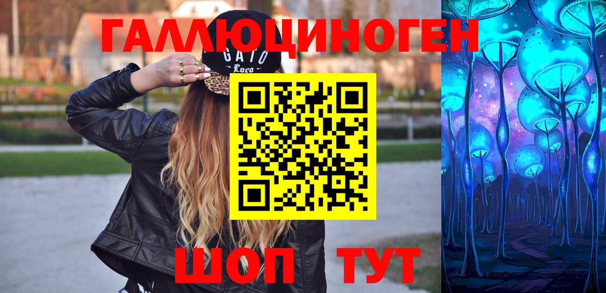Псилоцибиновые грибы Psilocybine cubensis  Вход с VPN  Алексеевка 